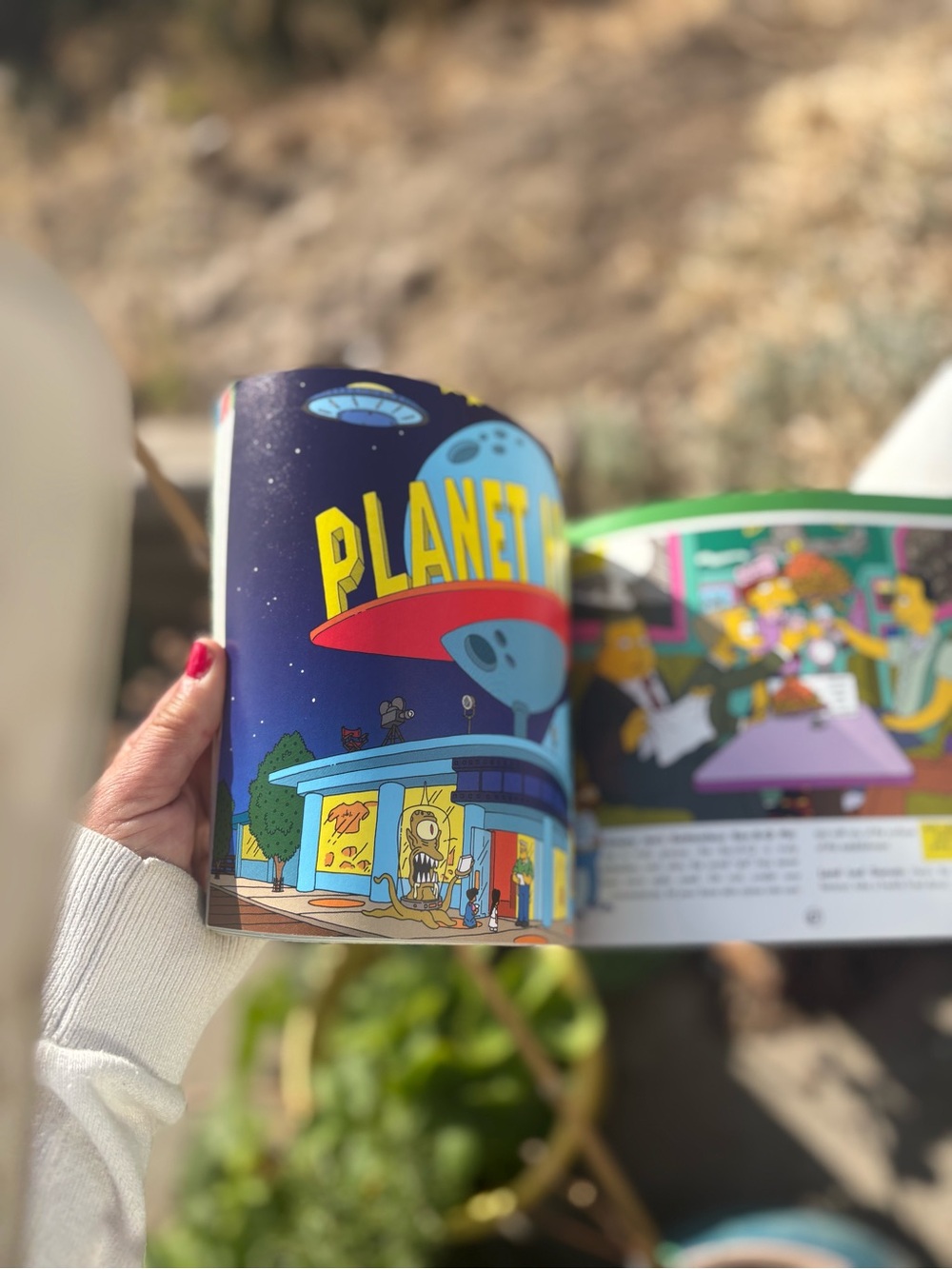 Springfield The Simpsons. Book - Picture 7 of 8